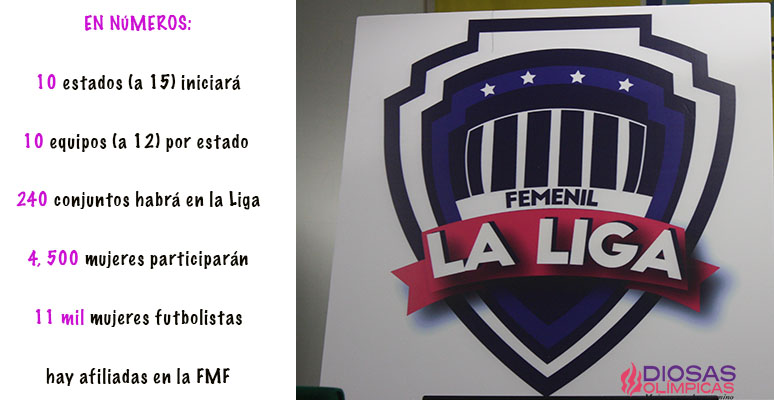 Logo Oficial de la Liga Femenil Amateur. Foto: Olga Trujillo