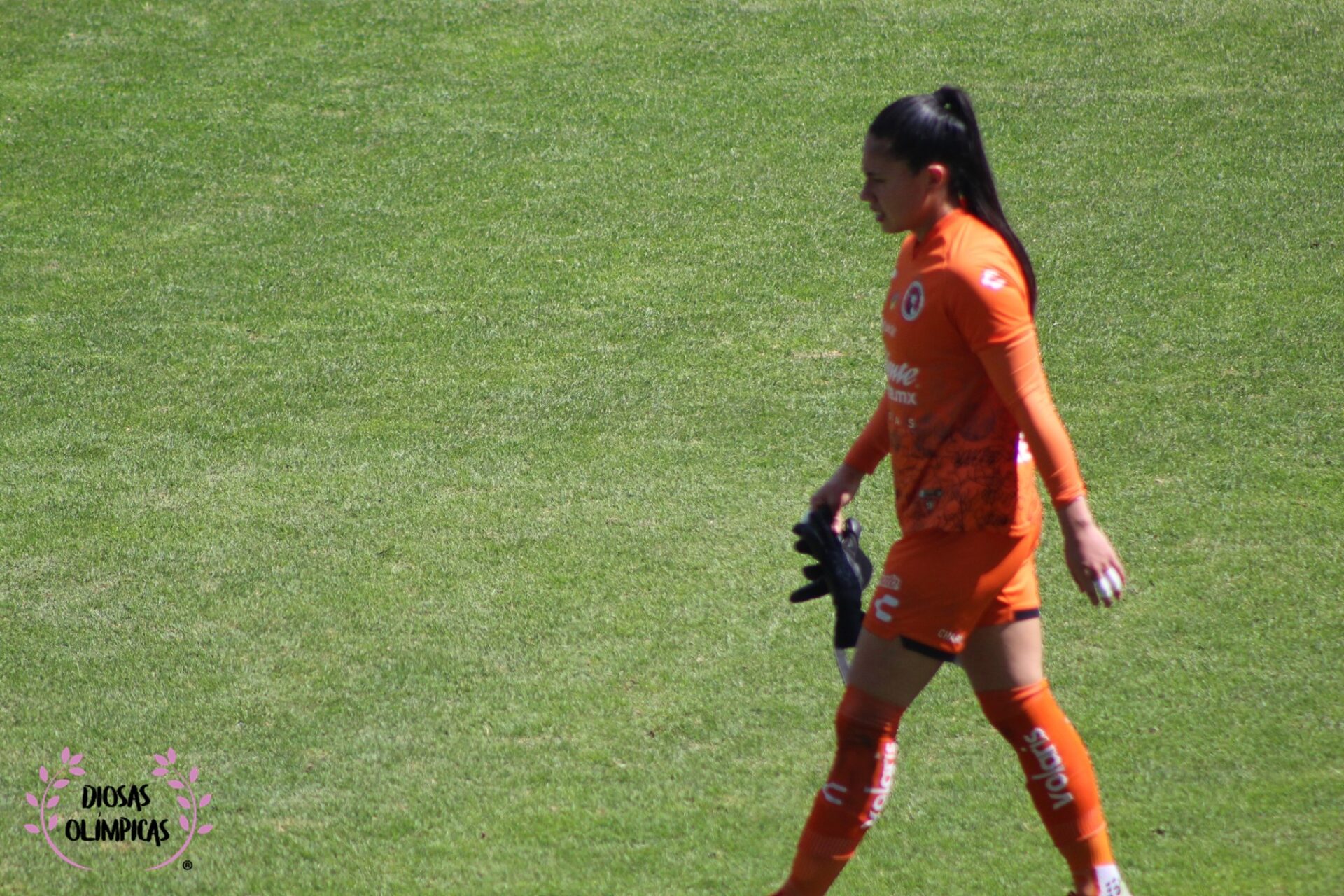 JUGADORAS A SEGUIR